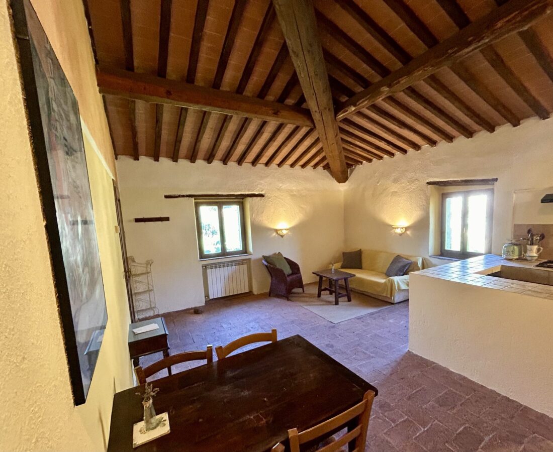 Apt5_Livingroom:Kitchen_1.3