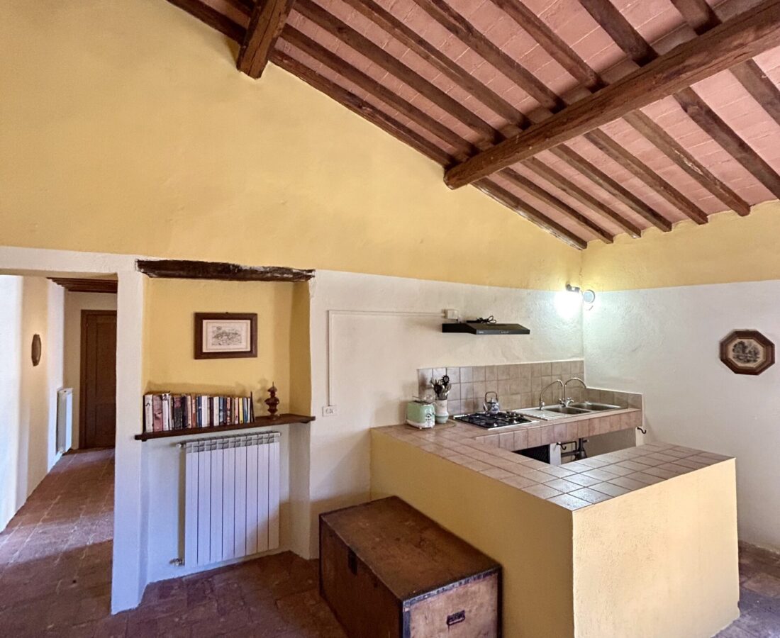 Apt6_Livingroom:Kitchen_1.1